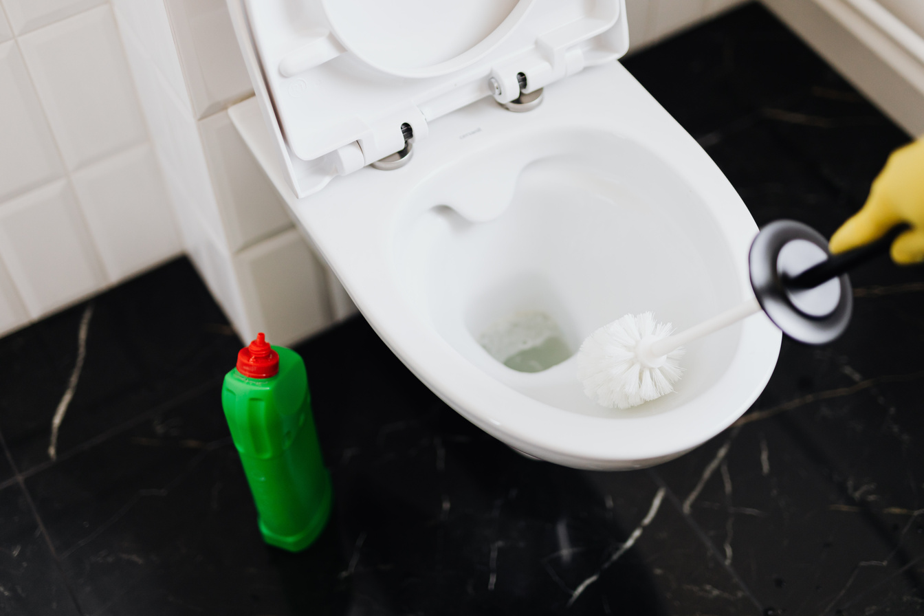 Crop person cleaning toilet with toilet brush